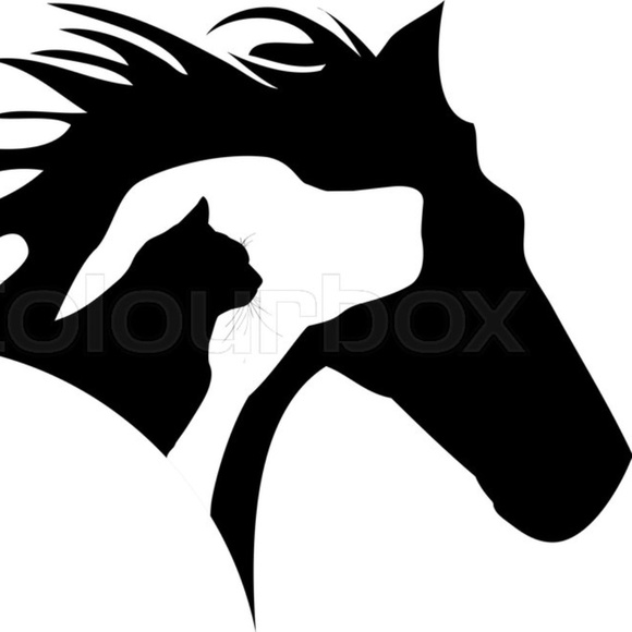 Vinyl Decal for Window - Cat/Dog/Horse Silhouette - Picture 1 of 1